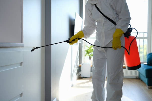 Professional Mold Remediation in Battlefield, MO