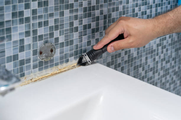 Best Preventive Mold Services in Battlefield, MO